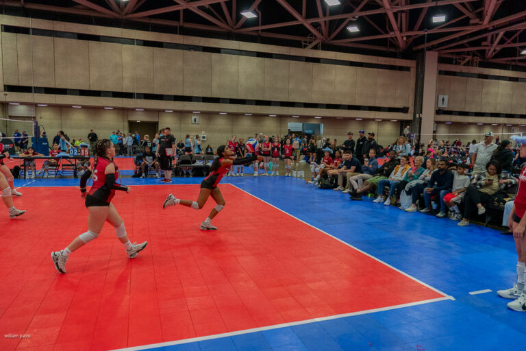 A volleyball player in a red and black uniform prepares to hit the ball on an indoor court during a game, with teammates, spectators, and referees visible.