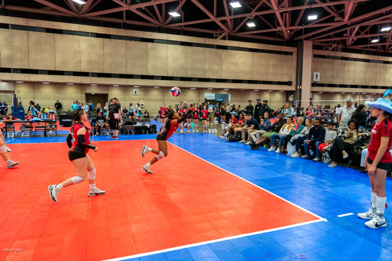 A volleyball player in a red and black uniform prepares to hit the ball on an indoor court with a crowd of spectators watching. Other players and team members can be seen in the background.
