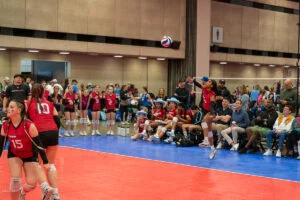 A volleyball player in a red jersey jumps to serve the ball during a match. Teammates and audience members watch from the sidelines.