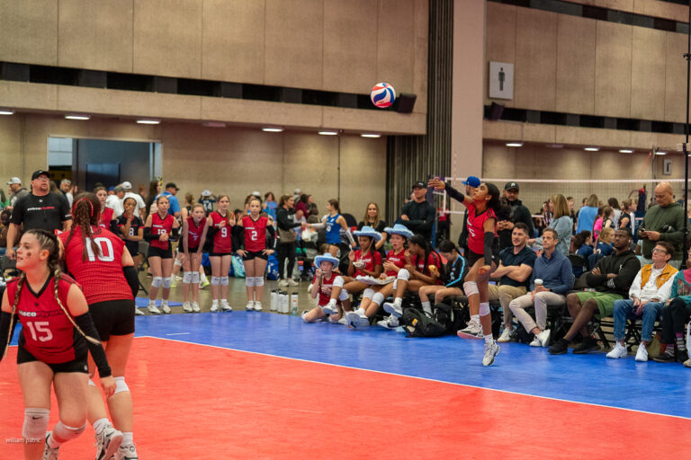 A volleyball player in a red jersey jumps to serve the ball during a match. Teammates and audience members watch from the sidelines.