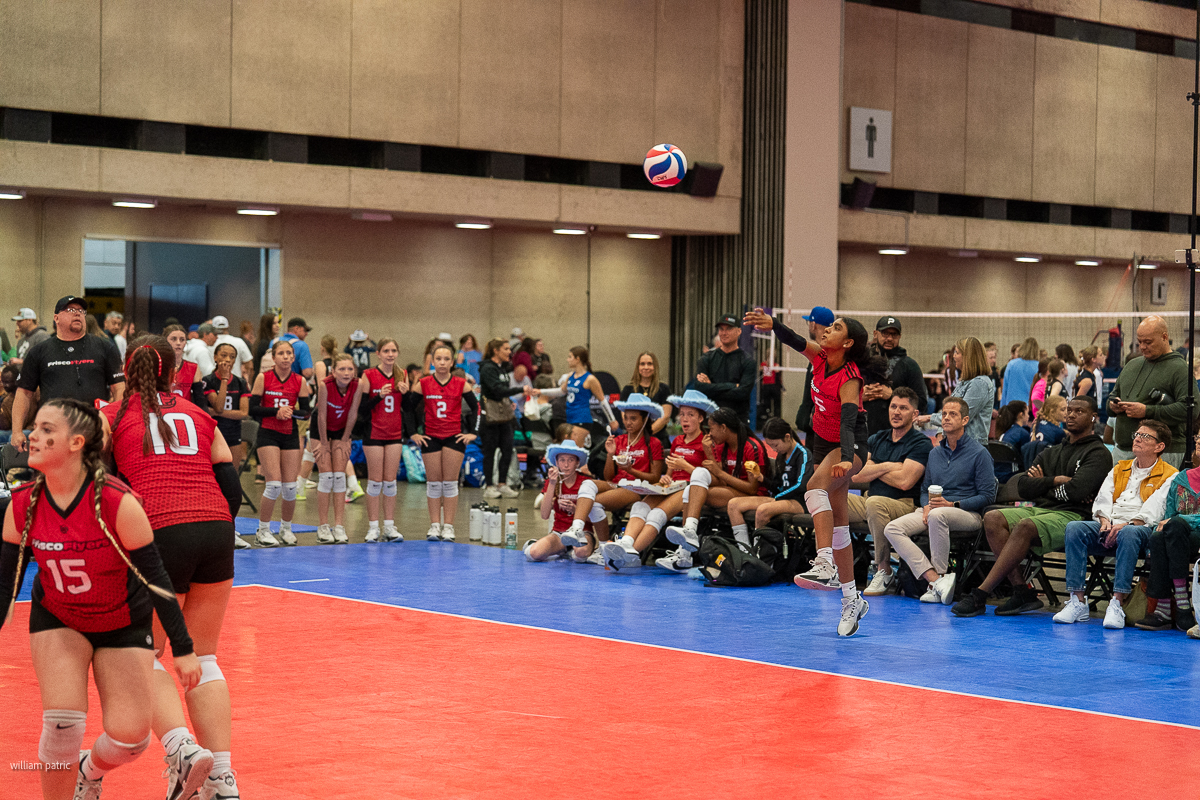 A volleyball player in a red jersey jumps to serve the ball during a match. Teammates and audience members watch from the sidelines.