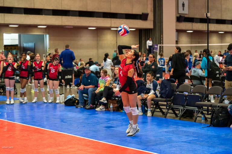 A volleyball player in a red and black uniform serves the ball. Teammates in similar uniforms and spectators are visible in the background.