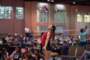 A volleyball player in a red jersey prepares to serve the ball during an indoor match as teammates and opponents look on.