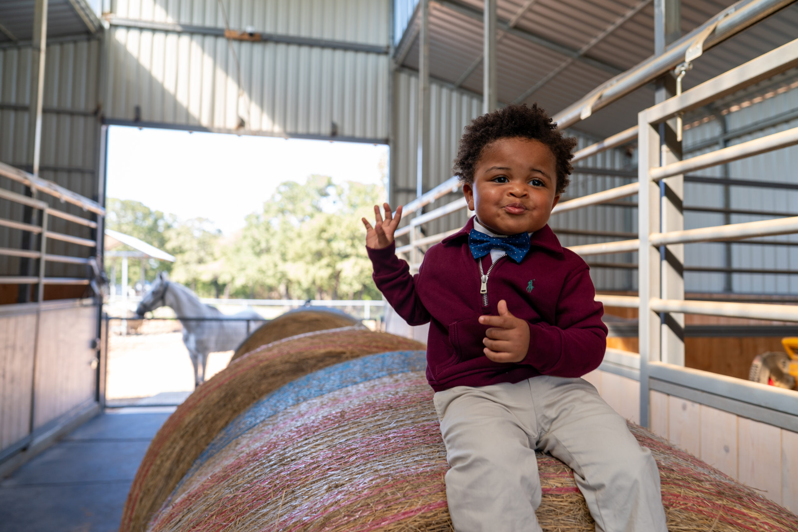 A young boy in a maroon sweater and blue bow tie sits on a large hay bale in a barn, making a playful face. A white horse stands in the background.