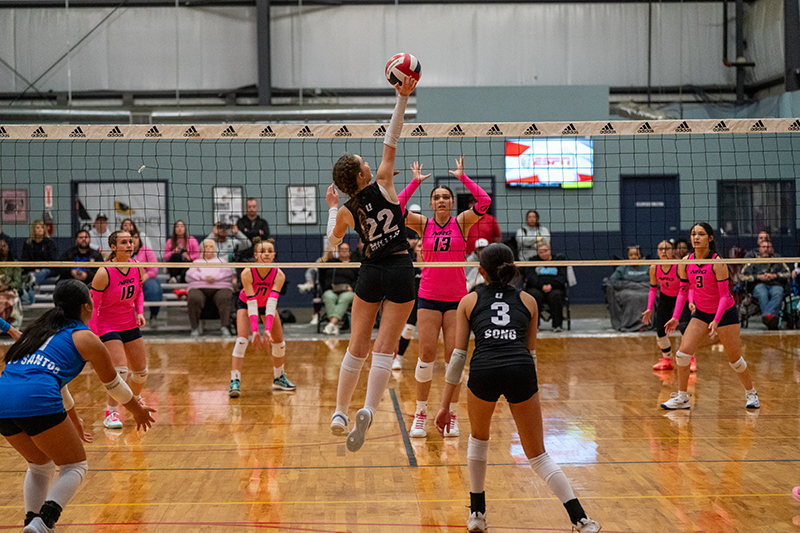 A volleyball player in a black jersey jumps to hit the ball over the net as opposing players in pink jerseys prepare to block during an indoor match. Spectators are seated in the background.