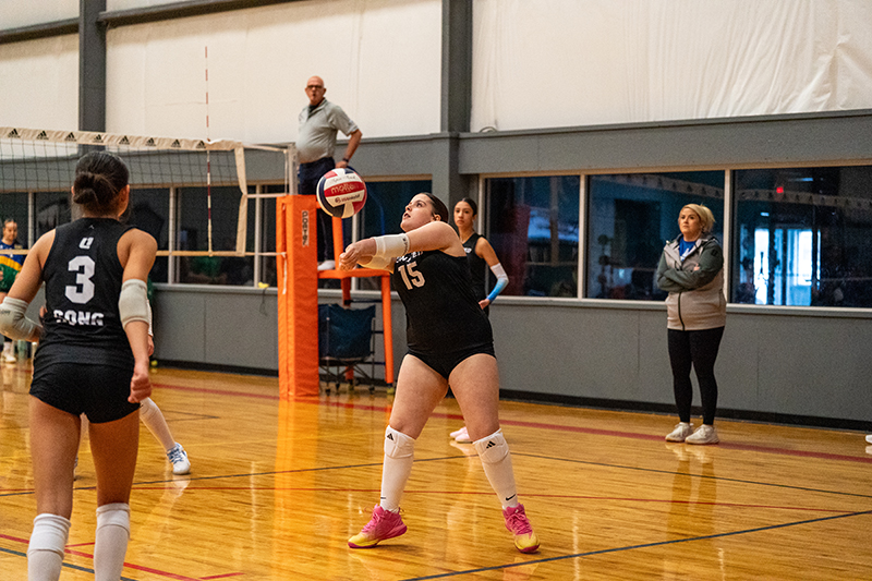 A volleyball player in a black jersey prepares to receive the ball during an indoor match, while teammates and coaches watch from the sidelines.