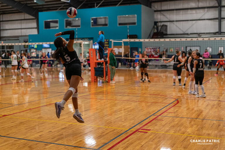 A volleyball player in a black uniform jumps to serve the ball during an indoor match, with teammates and opponents visible on the court—an ideal scene to test the best camera settings for sports events.