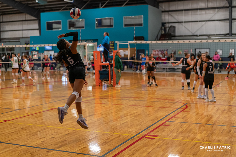 A volleyball player in a black uniform jumps to serve the ball during an indoor match, with teammates and opponents visible on the court—an ideal scene to test the best camera settings for sports events.