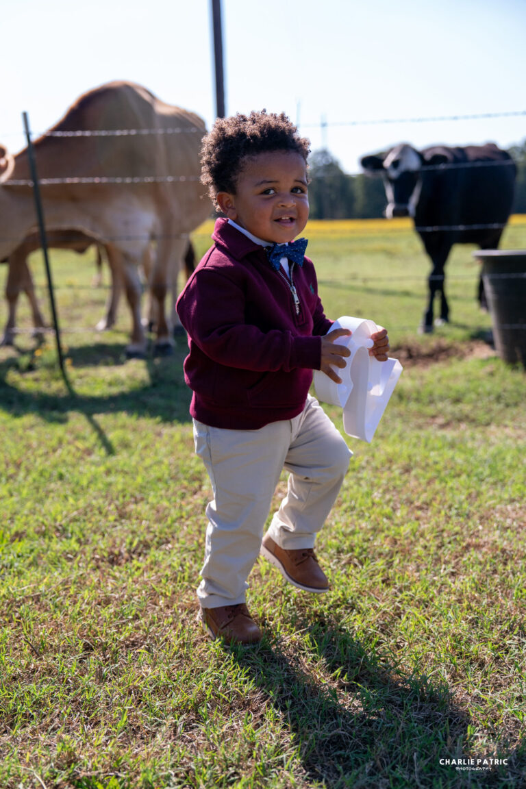 A young child in a maroon jacket and beige pants stands on grass holding white paper, captured through candid photography, with cows and a fence in the background.