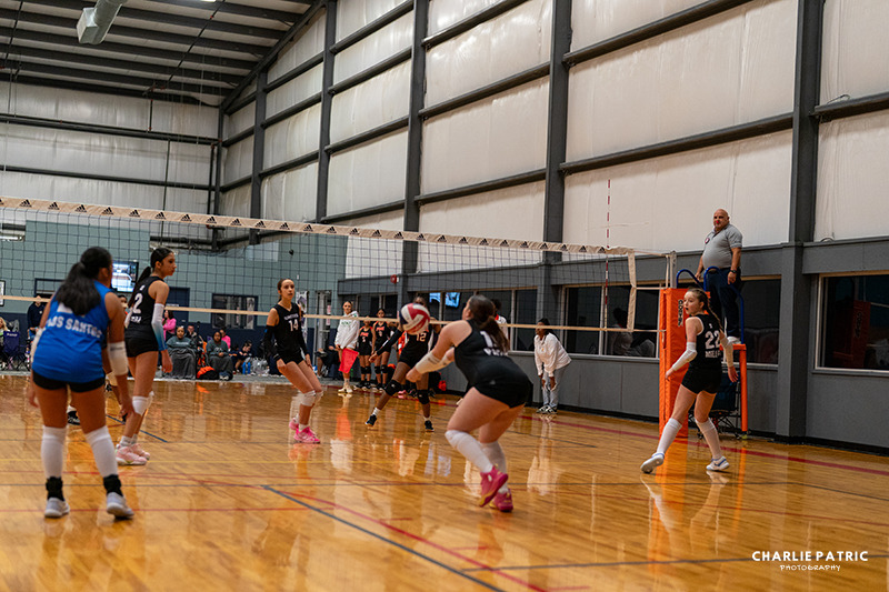 Indoor volleyball game in progress; players in navy uniforms watch as one prepares to receive the ball, while a referee observes from an elevated stand—perfect action for youth sports photography services.